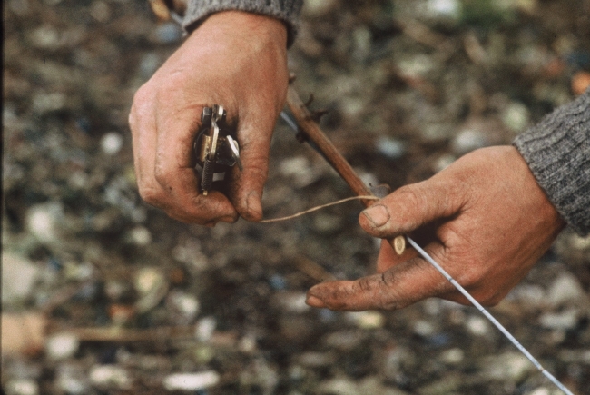 eChampagne - Le liage